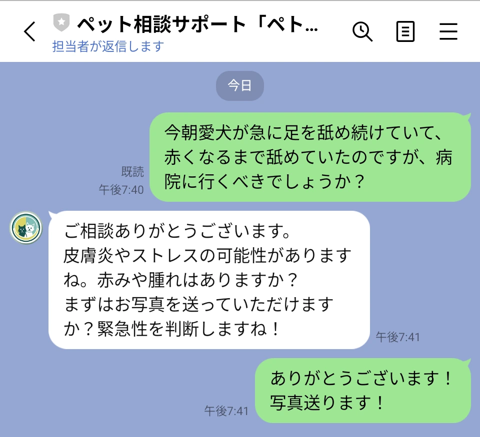 ペトレコのLINE相談画面例